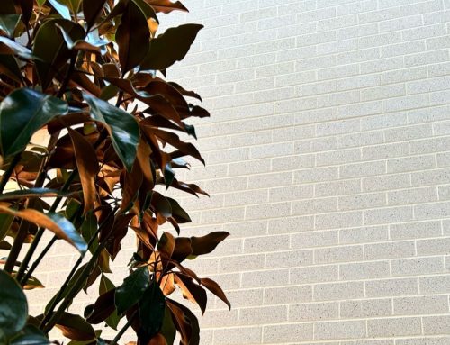 Brick Slips